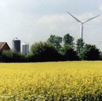 Bauernhaus, Windkraftanlage, Rapsfeld