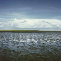 Wattenmeer