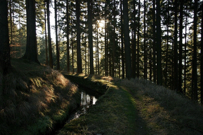 Naturpark Harz