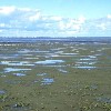 Nordseeküste