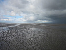 Wattweiten @Nationalpark Niedersächsisches Wattenmeer