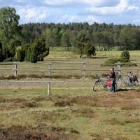 Typische Landschaften mit dem Rad erleben