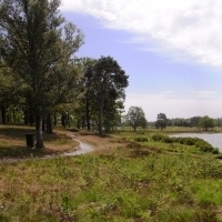 Marsch- und Geestlandschaft am Wolligster See