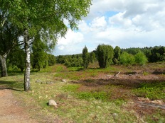 Natürlich Niedersachsen