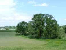 Natürlich Niedersachsen