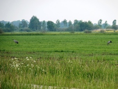 Natürlich Niedersachsen