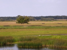 Natürlich Niedersachsen