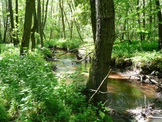 Natürlich Niedersachsen