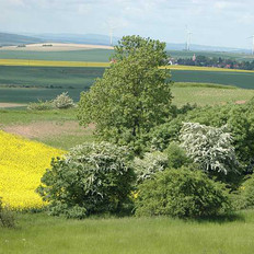 Natürlich Niedersachsen