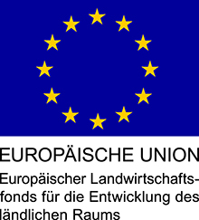 EU-Logo