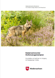 Deckblatt einer Veröffentlichung "Niedersächsischer Wolfsmanagementplan - Grundsätze im Umgang mit freilebenden Wölfen"
