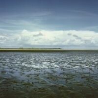 Niedersächsisches Wattenmeer