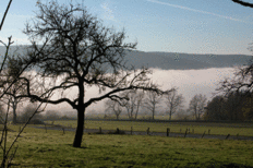 Herbststimmung im Weserbergland