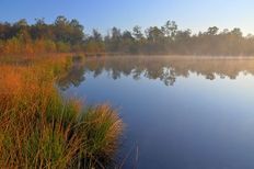 Eindrücke aus dem Naturschutzgebiet "Großes Engelsmeer"