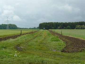 In der Mitte ist der Weg, rechts und links sind die Wegesränder neu markiert worden. Hinter der Markierung beginnt jeweils das Feld.