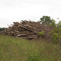 Schnittgut, Bildrechte S. Häring-Strotkötter