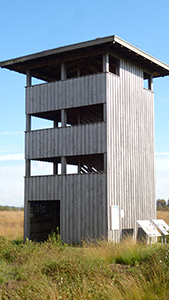 Diepholzer Moorniederung Aussichtsturm, Bildrechte S. Häring-Strotkötter