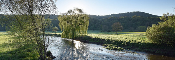 An der Emmer (@Hans-Jürgen Zietz)