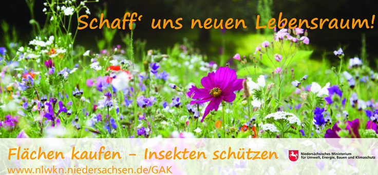 Blumenwiese mit Schrift: Schaff uns neuen Lebensraum