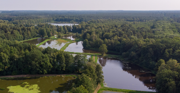 Luftbild der Aschauteiche