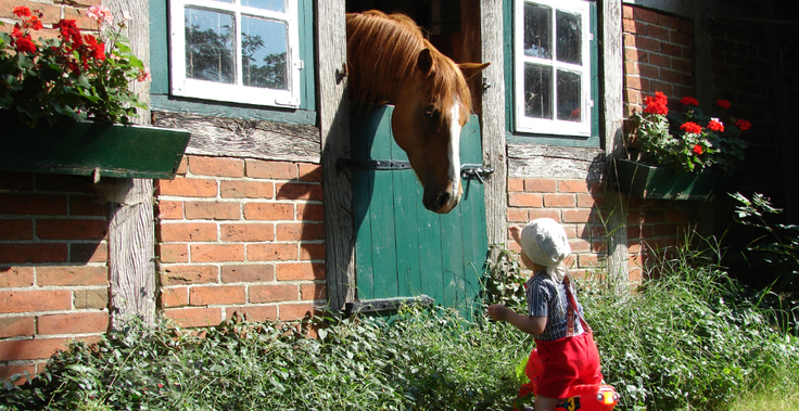 Ein Pferd schaut aus dem Stall herab zu einem Kind mit roter Hose