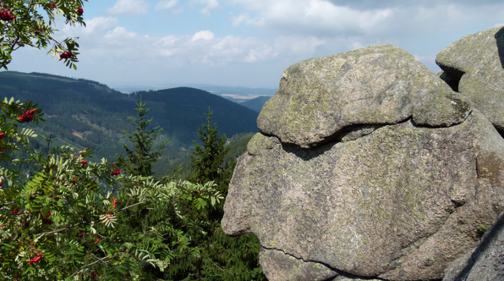 Der Alte vom Berge