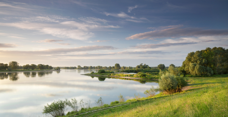 Flusslandschaft an der Elbe