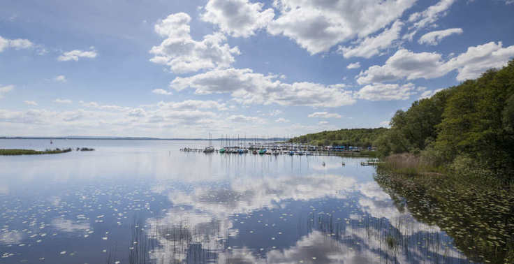 Blick auf das Steinhuder Meer