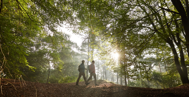 Wanderer im Wald