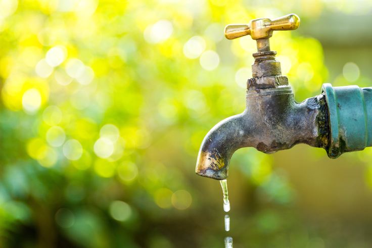 Ein Wasserhahn im Garten, aus dem ein dünner Wasserstrahl kommt; im Hintergrund sieht man verschwommen Bäume und Büsche