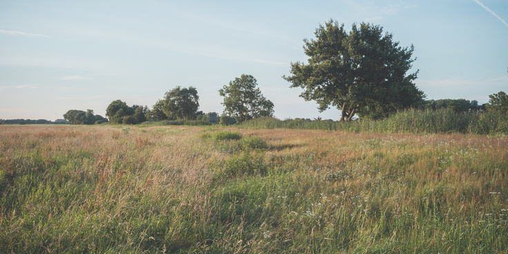 Themenfoto Niedersächsischer Weg