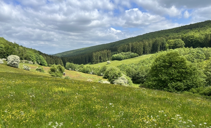 niedersächsischen Berg- und Hügelland zwischen der Weser im Westen und der Leine im Osten