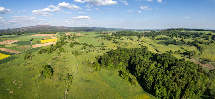 Landschaft