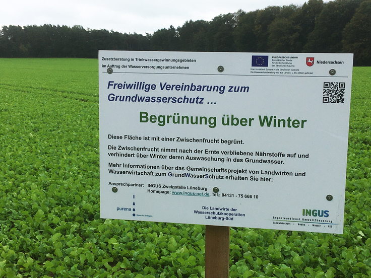 Durch eine Begrünung von Ackerflächen auch im Winter kann ein Auswaschen überschüssiger Nährstoffe ins Grundwasser verhindert werden (Bild: Ingus).