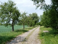 Natürlich Niedersachsen