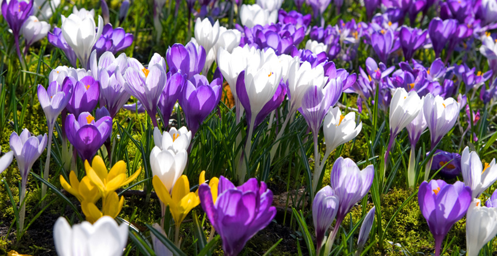 FotoLyrix, Fotolia.com