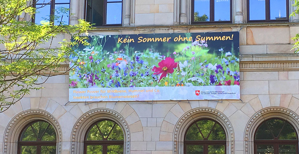 Kein Sommer ohne Summen