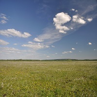 Borringhauser Wiesen