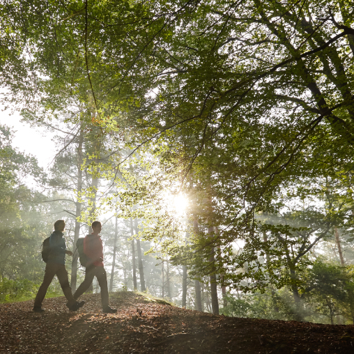 Wanderer im Wald