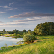 Flusslandschaft an der Elbe