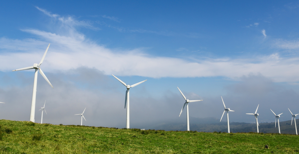 Windräder auf einer Wiese