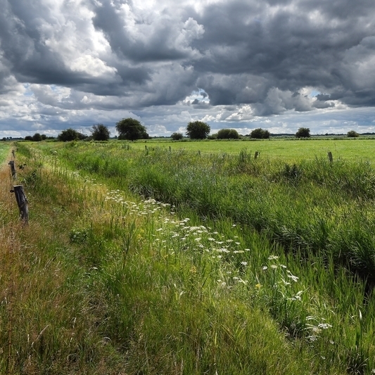 Blick in eine grüne Landschaft, durch die ein trockengefallenes Gewässer fließt. Der Himmel hängt voller Wolken.