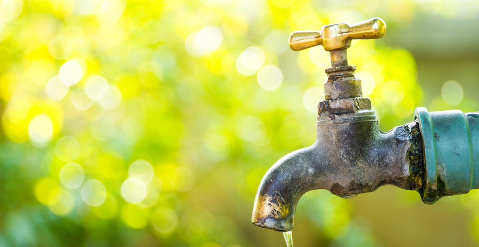 Ein Wasserhahn im Garten, aus dem ein dünner Wasserstrahl kommt; im Hintergrund sieht man verschwommen Bäume und Büsche
