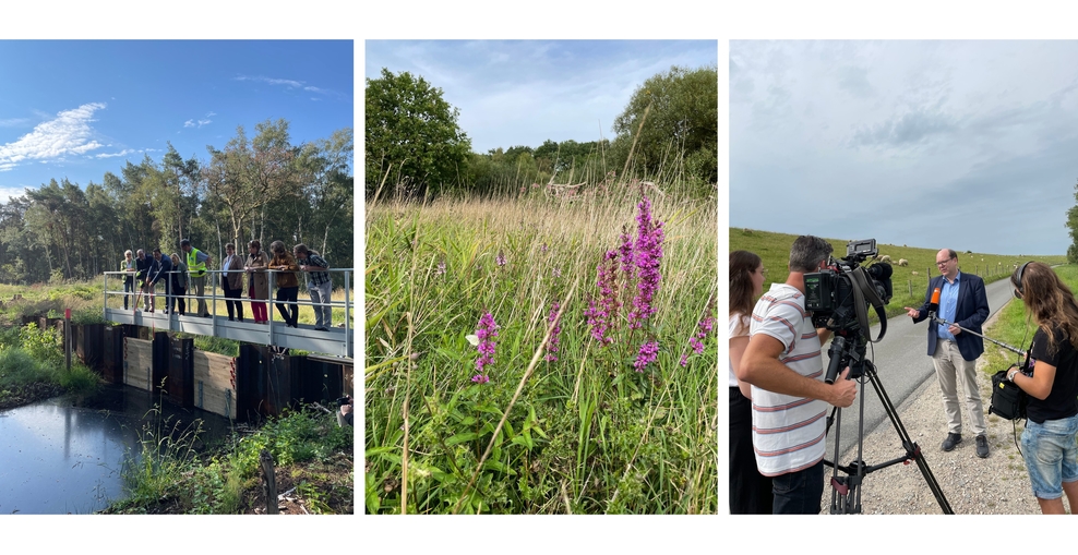 Das Bild ist eine Collage, bestehend aus 6 Fotos, die Umweltminister Meyer in verschiedenen Situationen in der Natur zeigen.