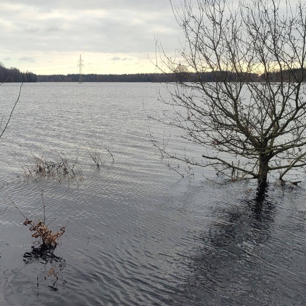 Landschaft überflutet von Wasser