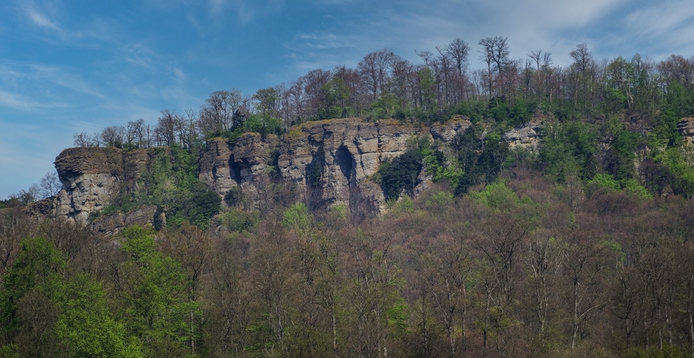Panoramabild des Hohenstein im Weserbergland. Bewaldet.