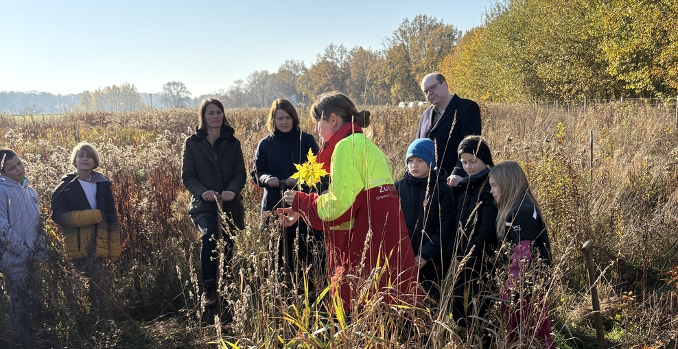 Minister*innen Staudte, Hamburg und Meyer stehen mit Schülern im Feld in der Sonne und lassen sich einen Baum-Setzling erklären.