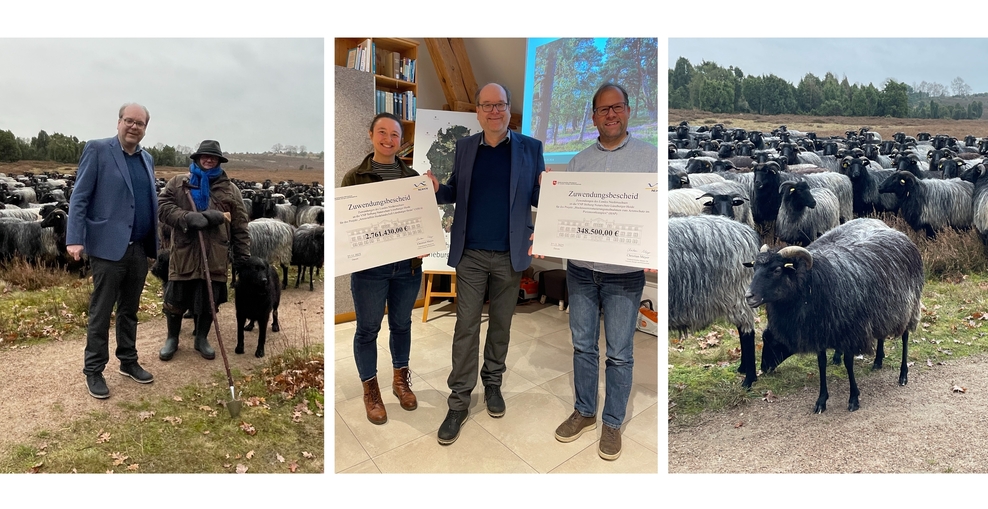 Collage aus drei Bildern. Bild 1: Minister Meyer mit Schäfer und Heidschnucken. Bild 2: Minister Meyer übergibt die beiden Förderschecks. Bild 3: Heidschnucken in Heidelandschaft.