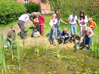 Wir legen einen Teich an