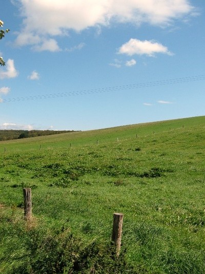 Landschaft